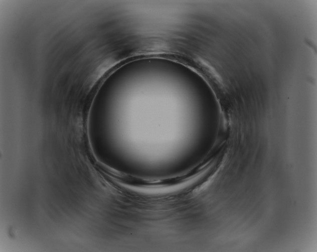 X0000097751457200803071237