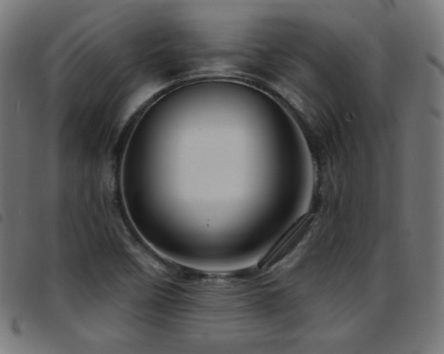 X0000097751458200803071237