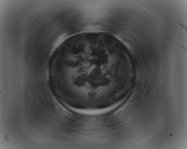 X0000097751459200803071237
