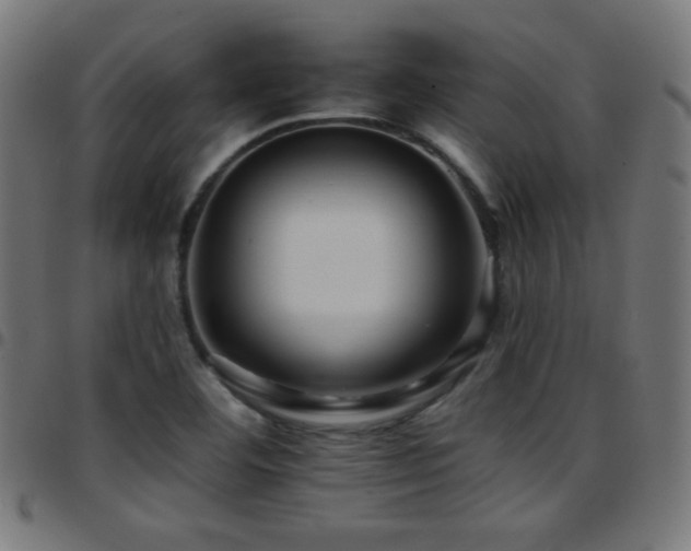 X0000097751460200803071237