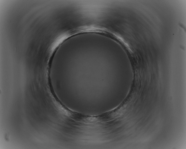 X0000097751463200803071237