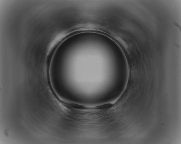 X0000097751464200803071237