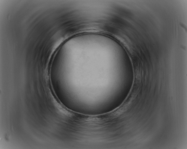 X0000097751466200803071237