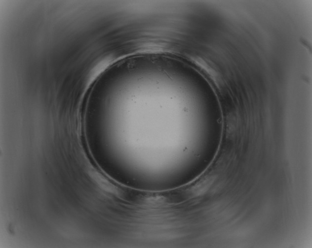 X0000097751467200803071237