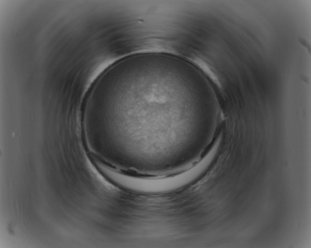 X0000097751468200803071237