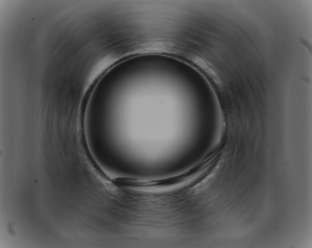 X0000097751469200803071237