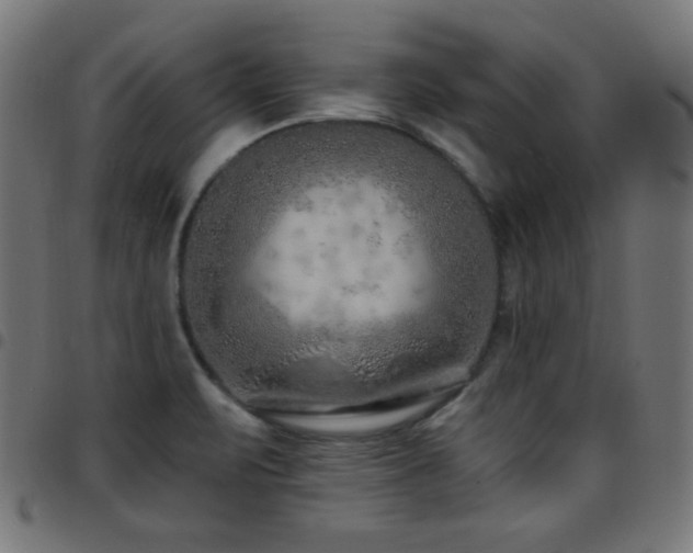 X0000097751471200803071237