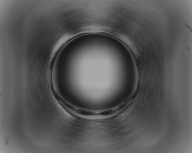 X0000097751472200803071237