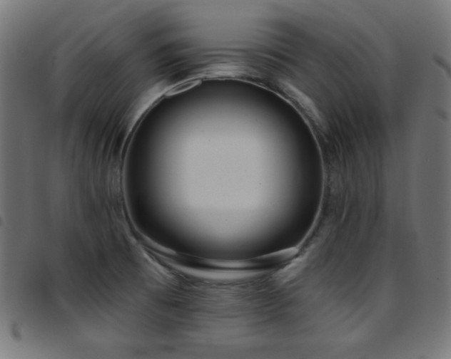 X0000097751473200803071237