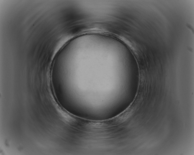 X0000097751474200803071237
