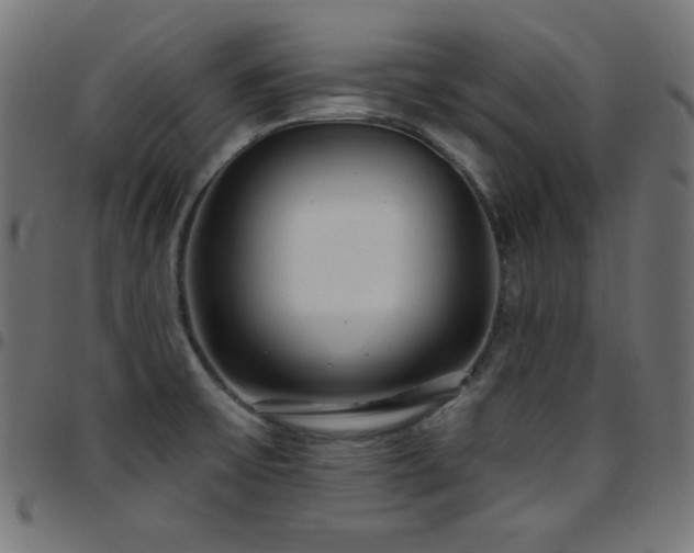 X0000097751475200803071237