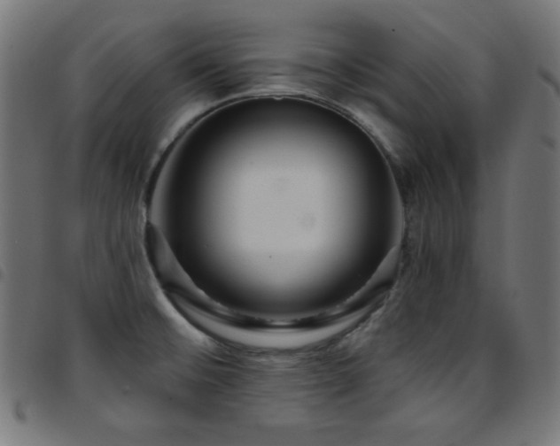 X0000097751476200803071237