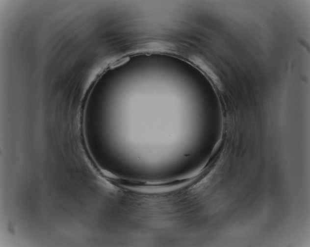 X0000097751477200803071237