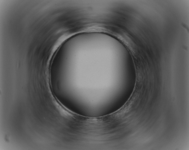 X0000097751478200803071237