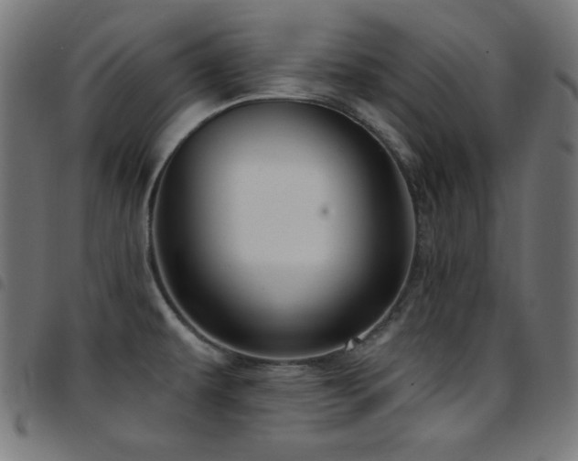 X0000097751479200803071237