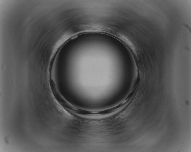 X0000097751480200803071237
