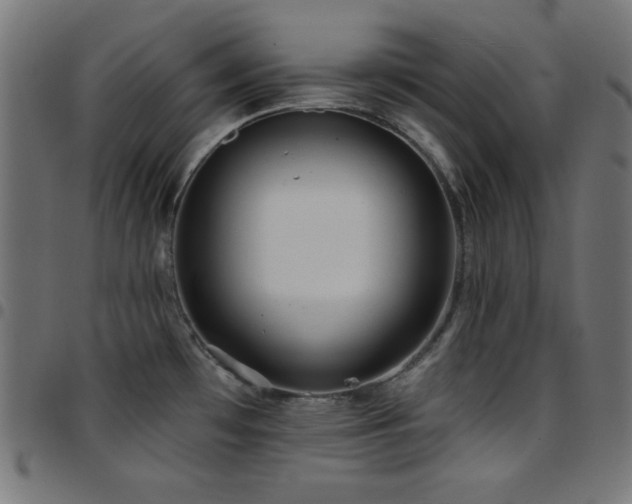 X0000097751481200803071237