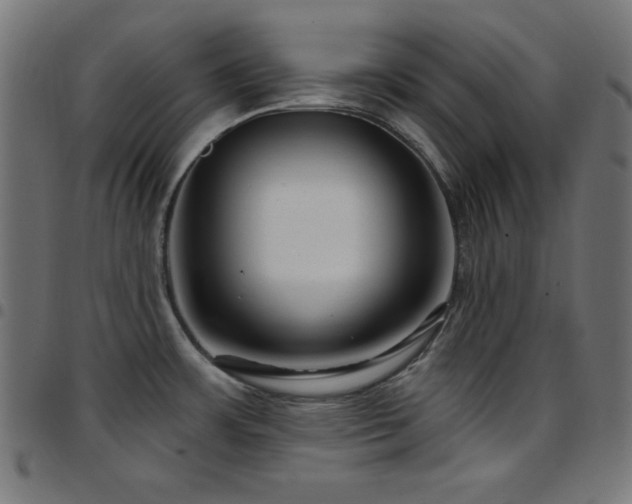 X0000097751483200803071237