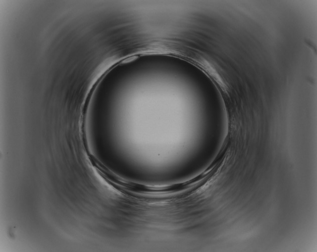 X0000097751484200803071237