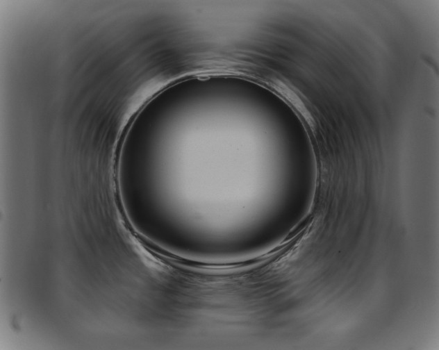 X0000097751485200803071237