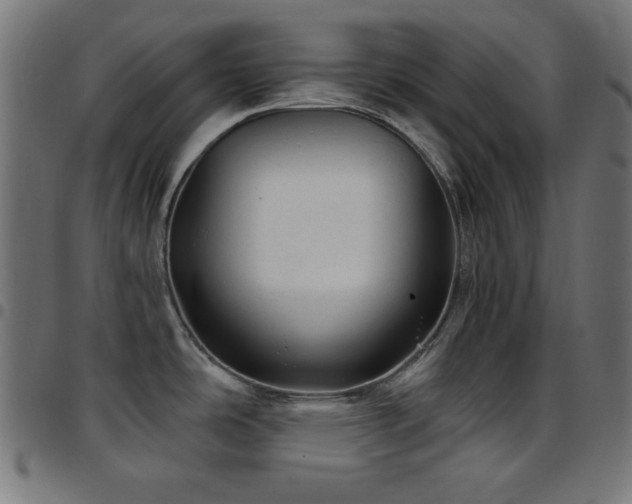 X0000097751486200803071237