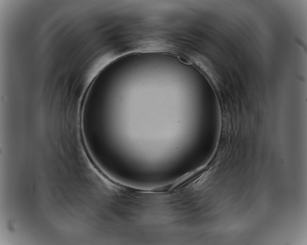 X0000097751487200803071237