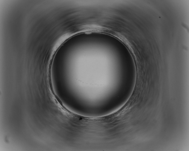 X0000097751488200803071237