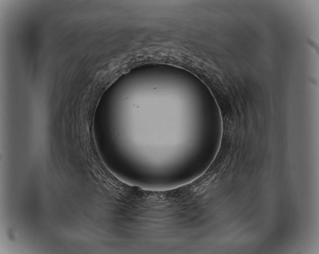 X0000097751489200803071236