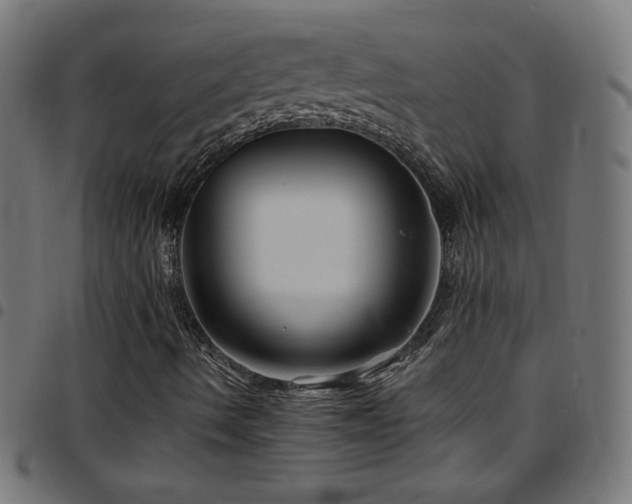 X0000097751490200803071236