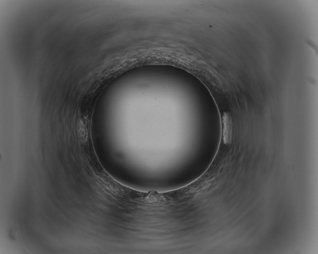 X0000097751491200803071236