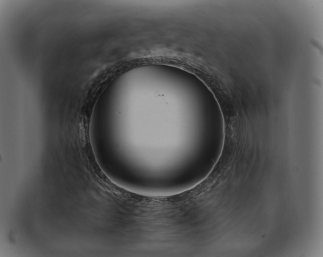 X0000097751493200803071236