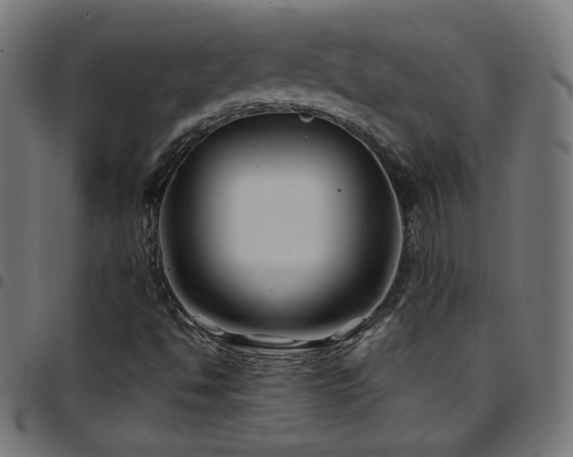 X0000097751494200803071236