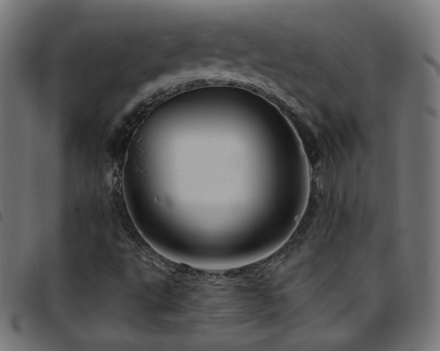 X0000097751495200803071236