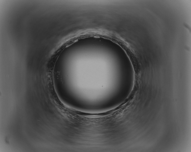 X0000097751496200803071236