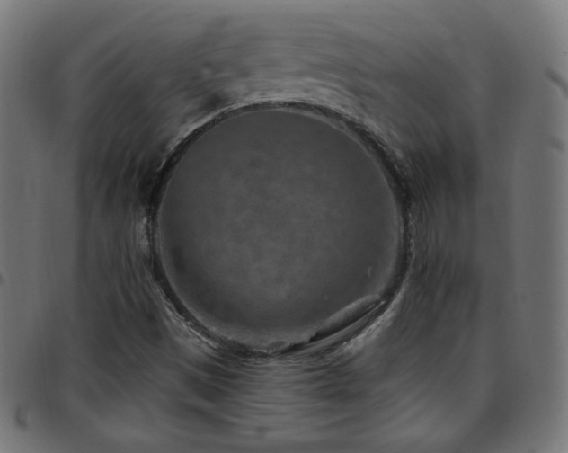 X0000097751497200803071236