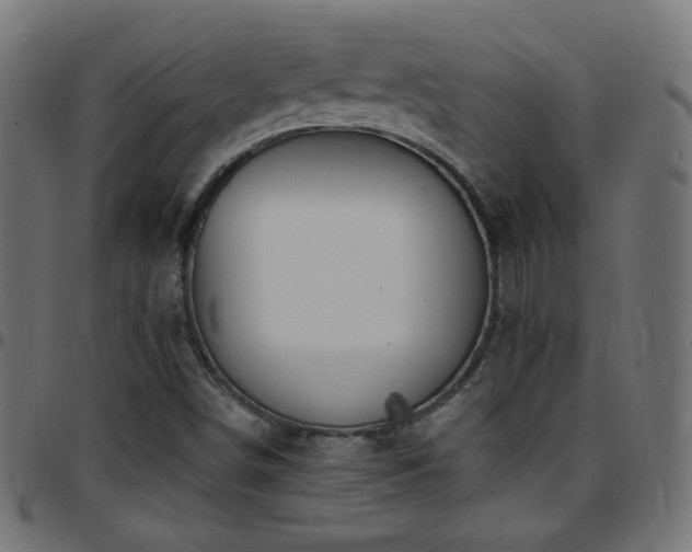 X0000097751498200803071236