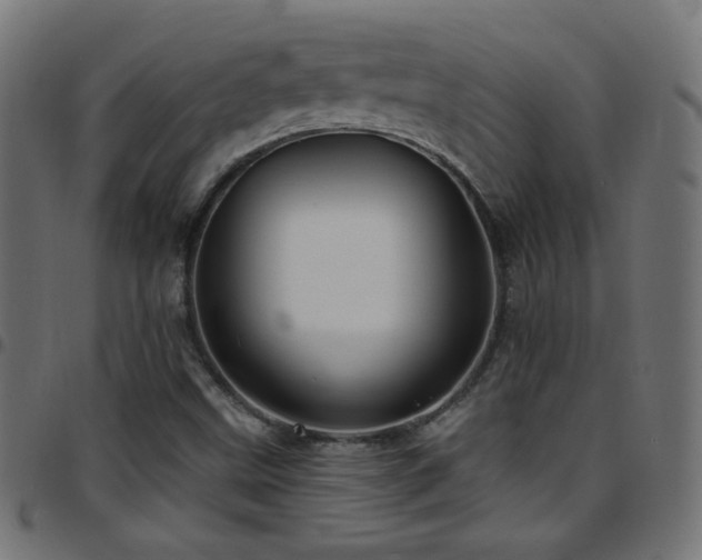 X0000097751499200803071236