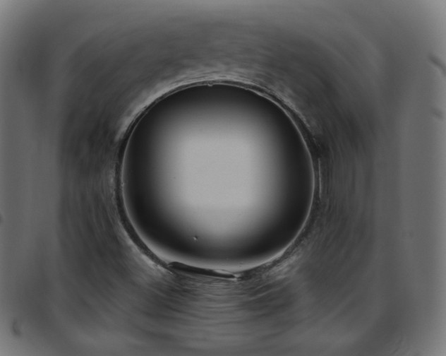 X0000097751500200803071236