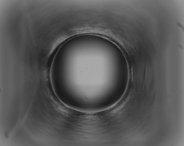 X0000097751501200803071236