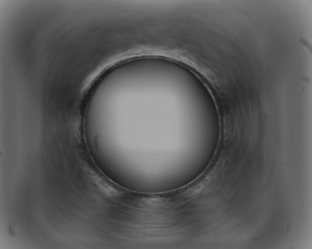 X0000097751502200803071236