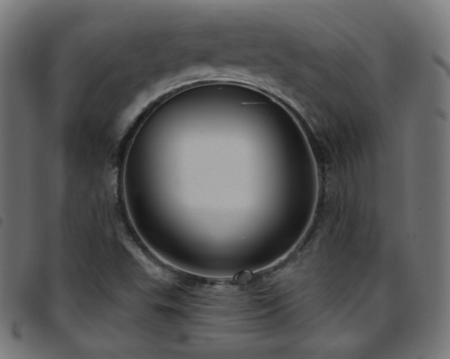 X0000097751503200803071236