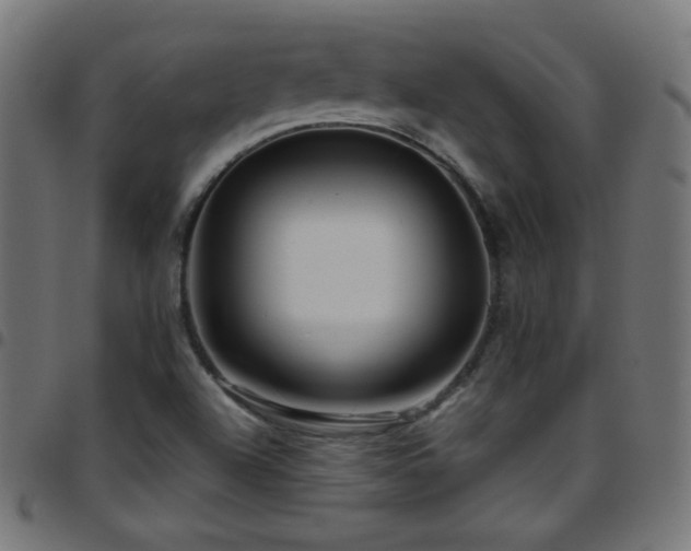 X0000097751504200803071236