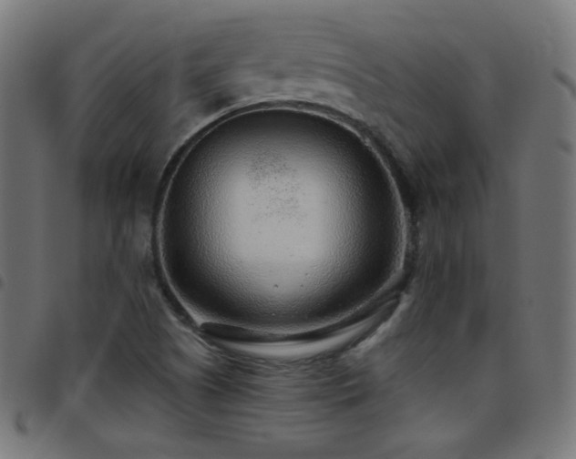 X0000097751505200803071236