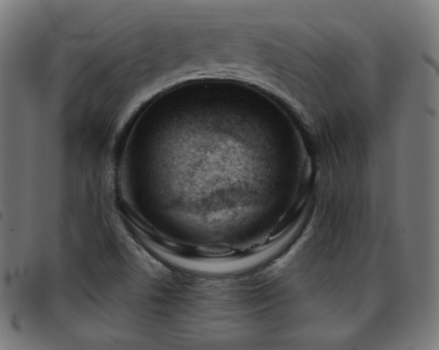 X0000097751506200803071236