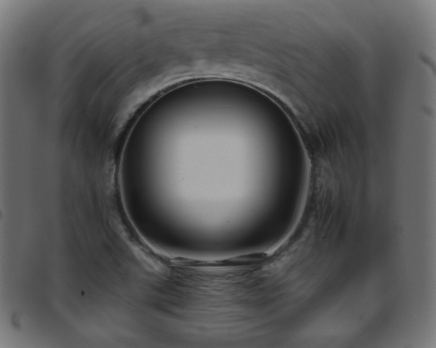 X0000097751507200803071236