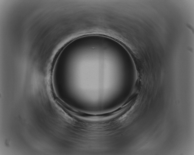 X0000097751510200803071236