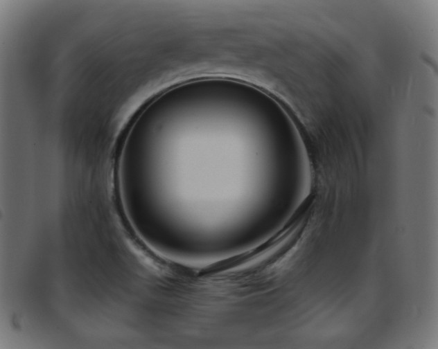 X0000097751511200803071236