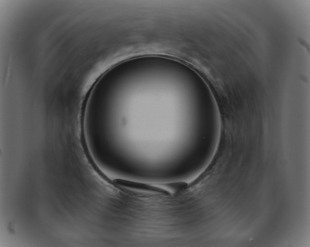X0000097751512200803071236
