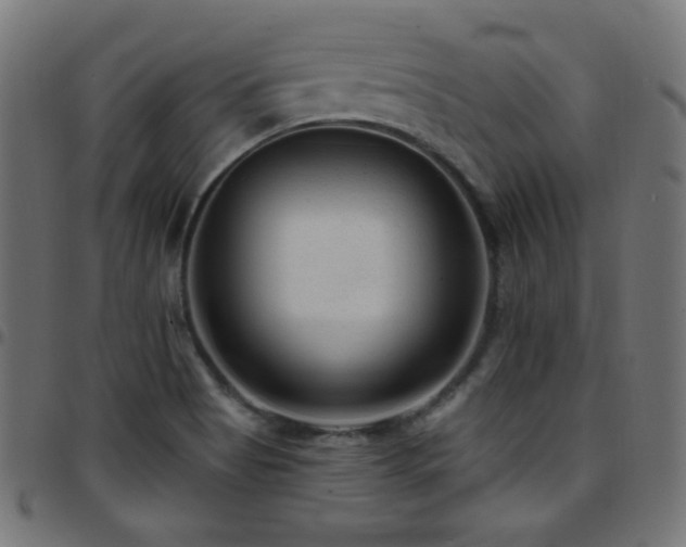 X0000097751513200803071236