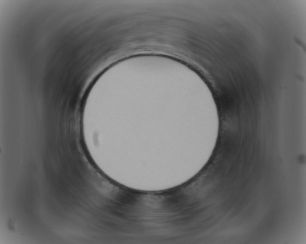 X0000097751514200803071236
